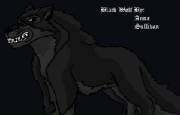 black_wolf.jpg